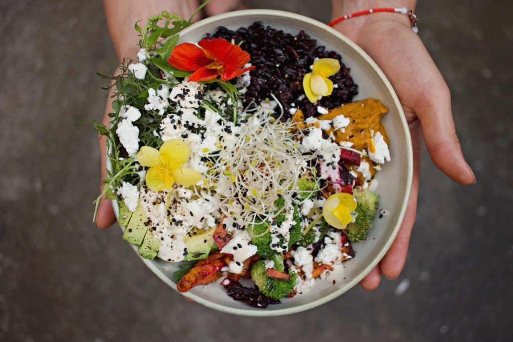 bowl, salad, appetizer, salad bowl, meal, healthy, healthy meal, food, eat, fresh, fresh salad, vegetables, salad bowl, salad bowl, salad bowl, salad bowl, salad bowl