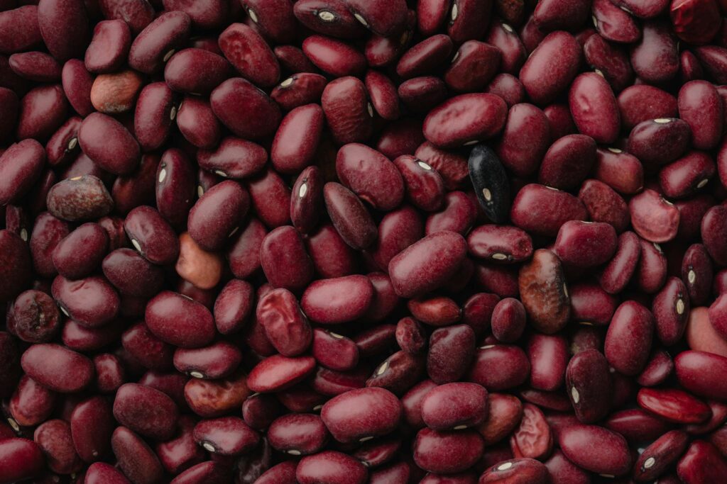 Close-up of dried red kidney beans as a fiber-rich legume for a gut-friendly diet